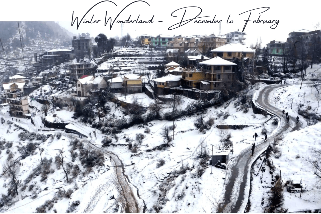 hotel in kufri shimla