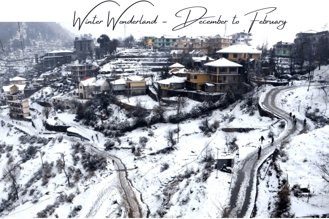 hotel in kufri shimla