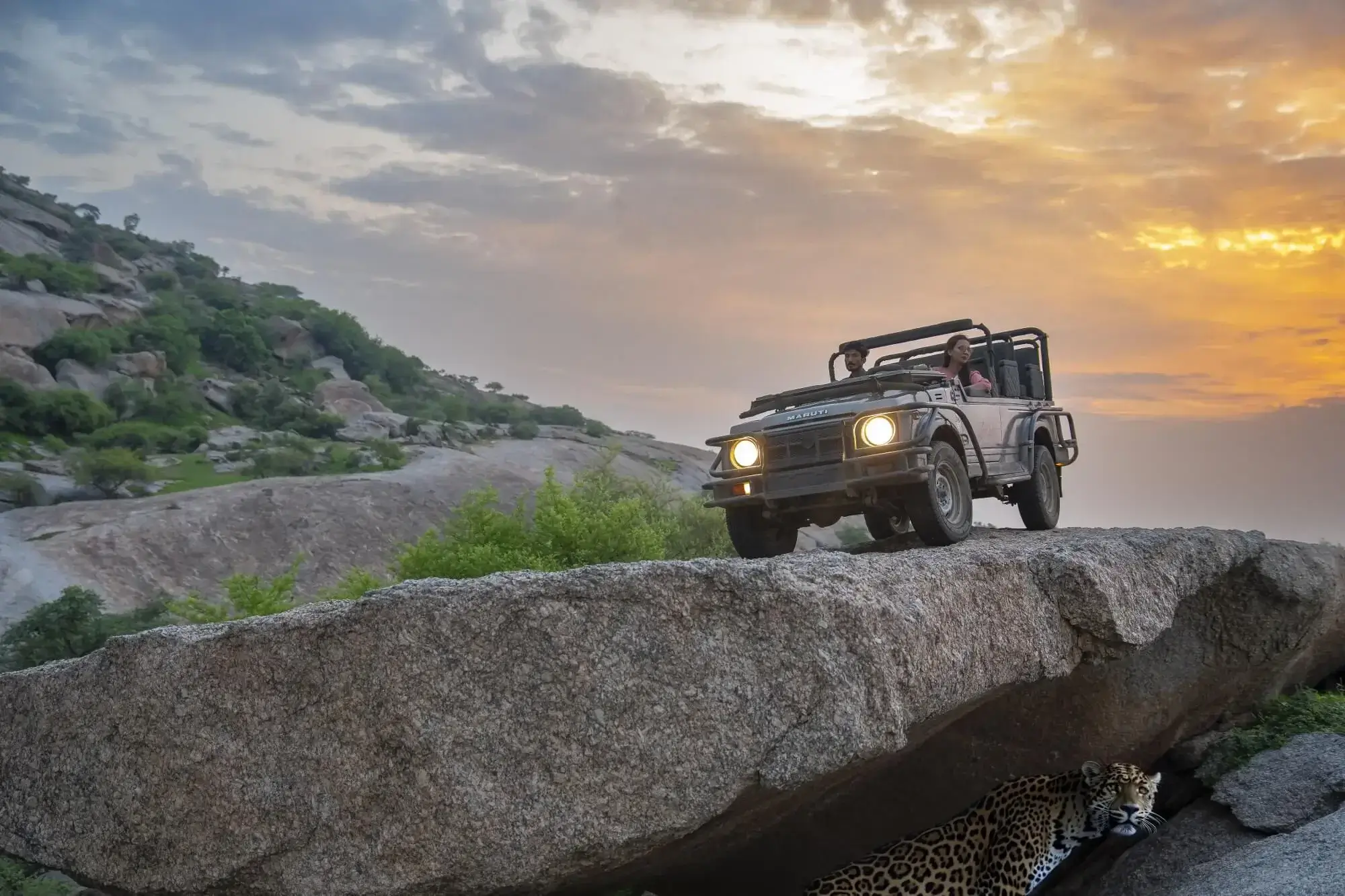 Leopard Safari Resort