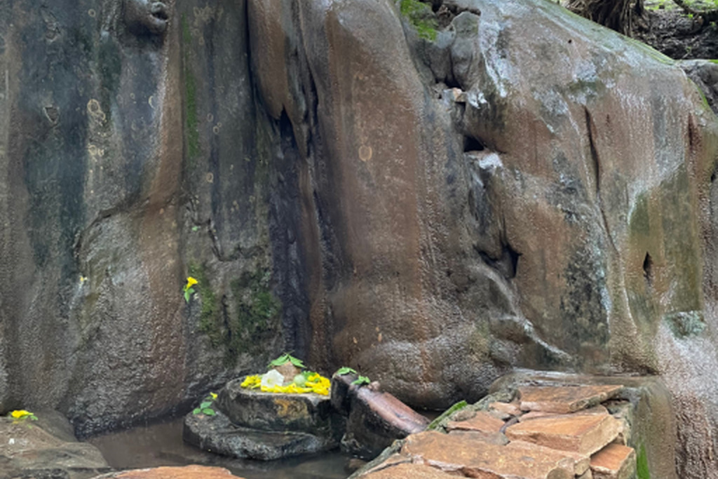 Best resort in Madhya Pradesh