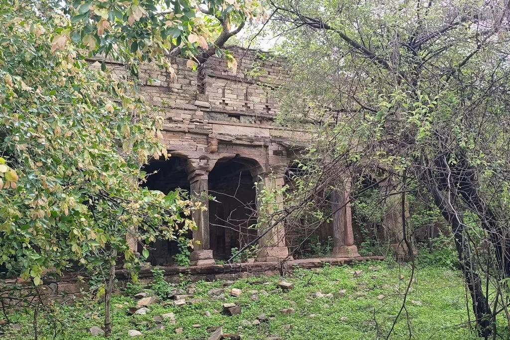 jungle resort in Madhya Pradesh